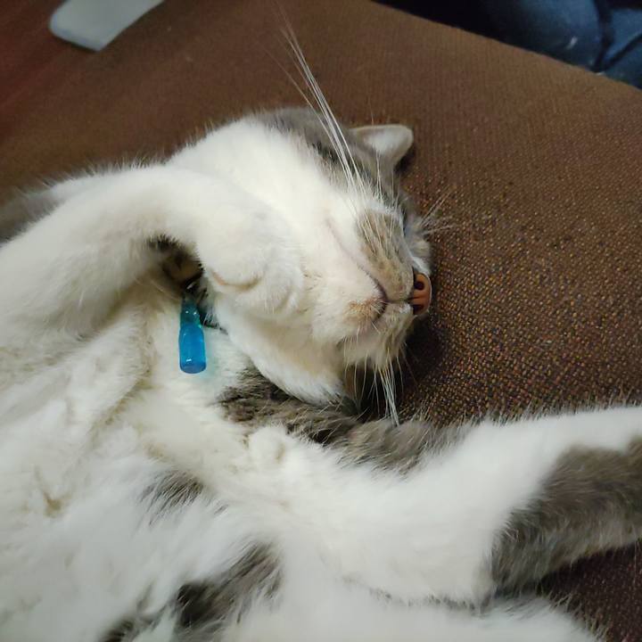 06a043b4 6113 424e b537 5d805f0c8894 1721996292862