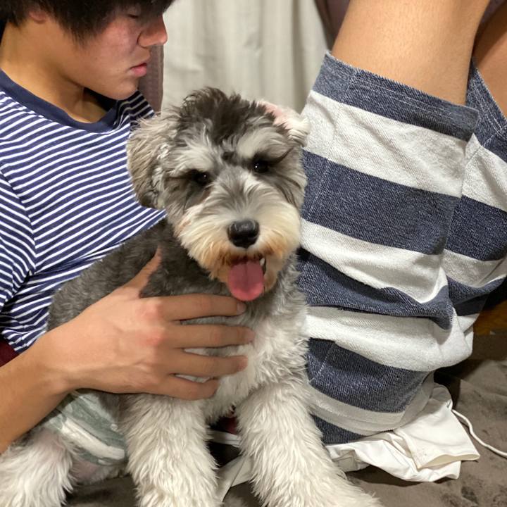 06a04728 07ca 4d31 90ac fdc2663ab7f3 1576420550025