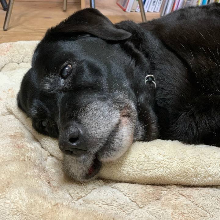 06a06205 f5d0 4a49 bb5f 047c1e56e12e 1611964329859