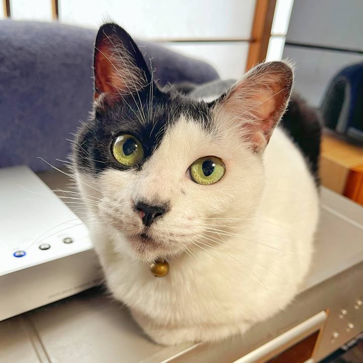 06a06928 169d 457a 9707 904afc943c6b 1752015087836