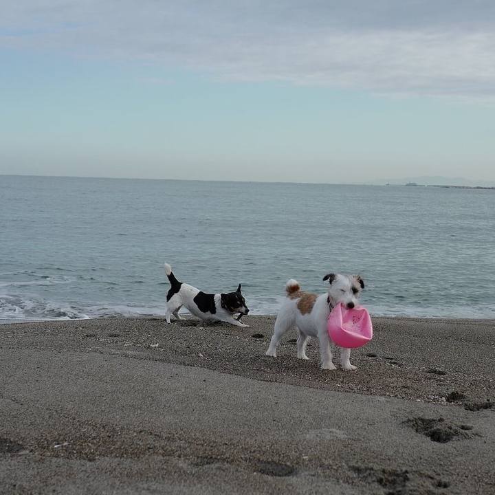 06a07718 c61c 4863 a654 b0406479f418 1538625162308