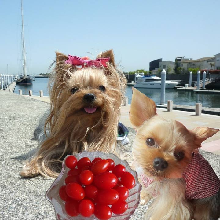 06a08975 3624 427b 894f 1cdaf8a66840 1688705595243