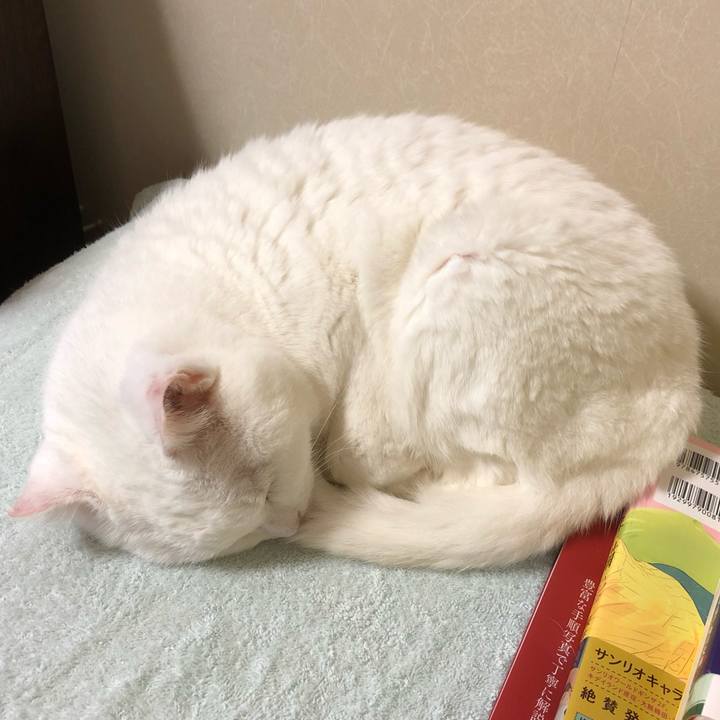 06a0a046 4a69 4ad0 b100 5a8bd8c8653f 1563176069195