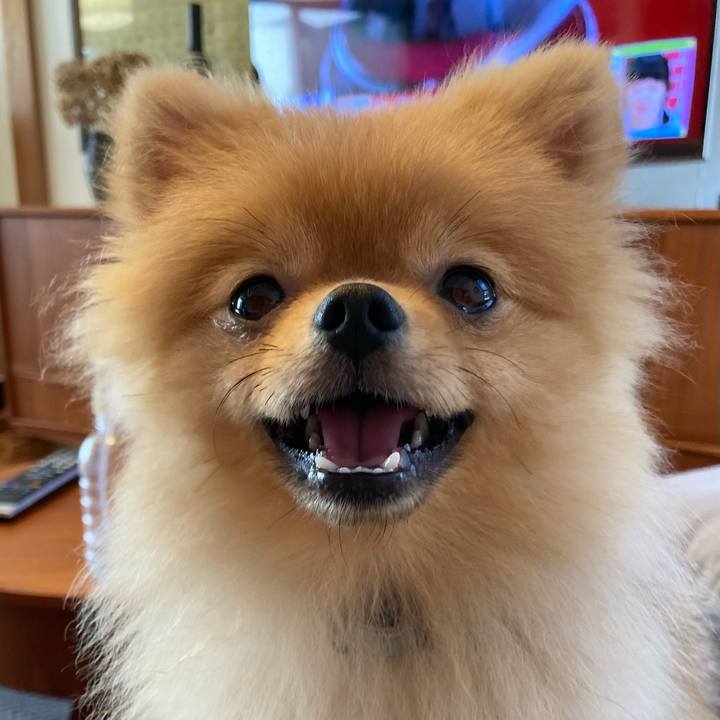 06a0c7a6 3cab 45a7 bb9a 44d06ff861e3 1662266472249