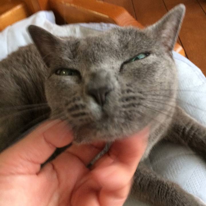 06a0ef67 cb1b 4f44 8906 0b44374fd410 1529534179167