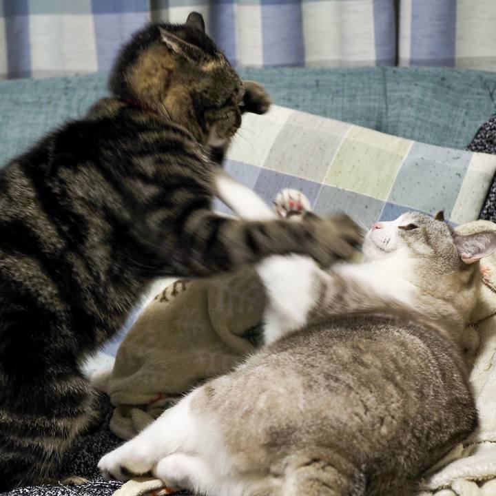 06a10ff6 a1dd 4216 868e b74dad06b41e 1635508957044