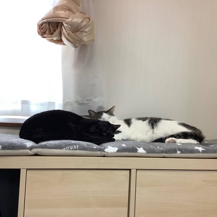 06a11706 c9ba 4387 a4a1 8d3295b601d9 1556593819111