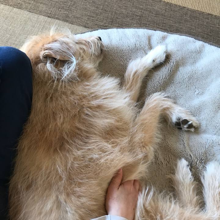 06a11fe4 9b91 4cc7 931d 9e360ef30e32 1618961206408