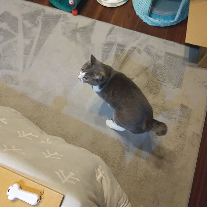 06a1722f a0ed 4341 b484 a35ac3ce7b71 1641505694345