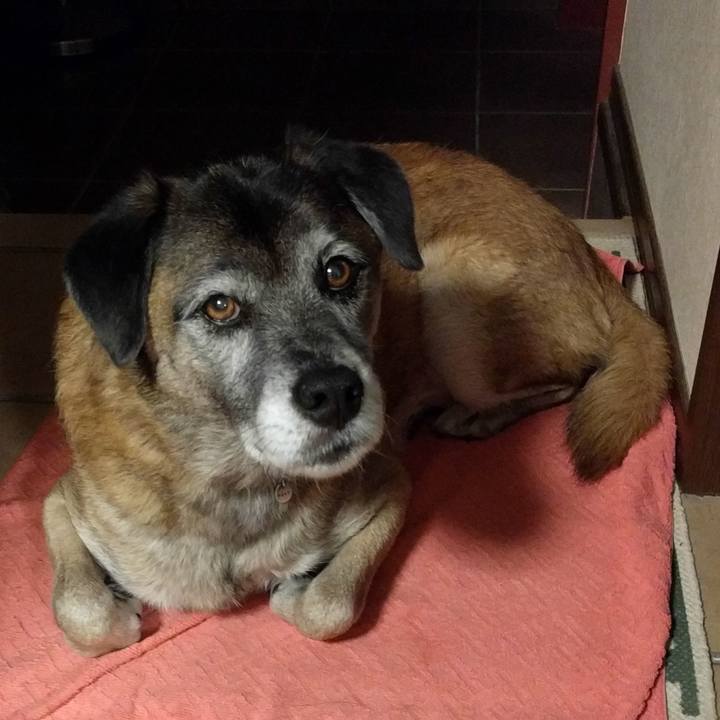 06a1936b d71e 4451 918a ea48001bfbe7 1511877342210