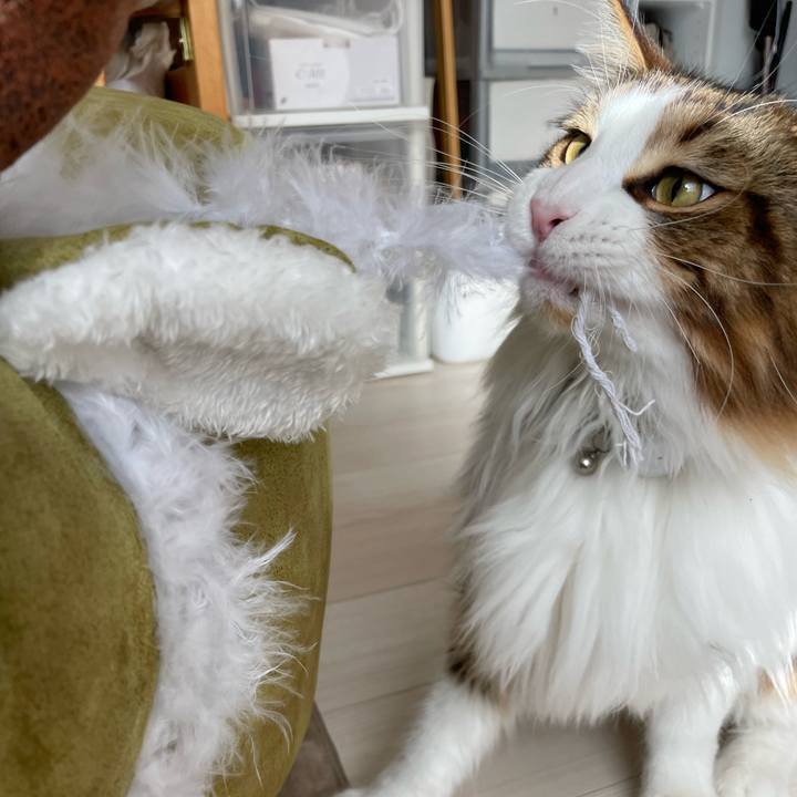 06a1b2de 98cb 490d b8f7 982d1cefe657 1669187622099