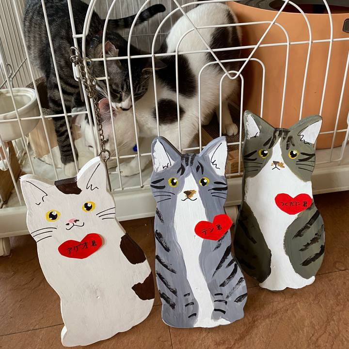 06a1d1f7 c3cf 443f a657 2255242e70c9 1713081474963