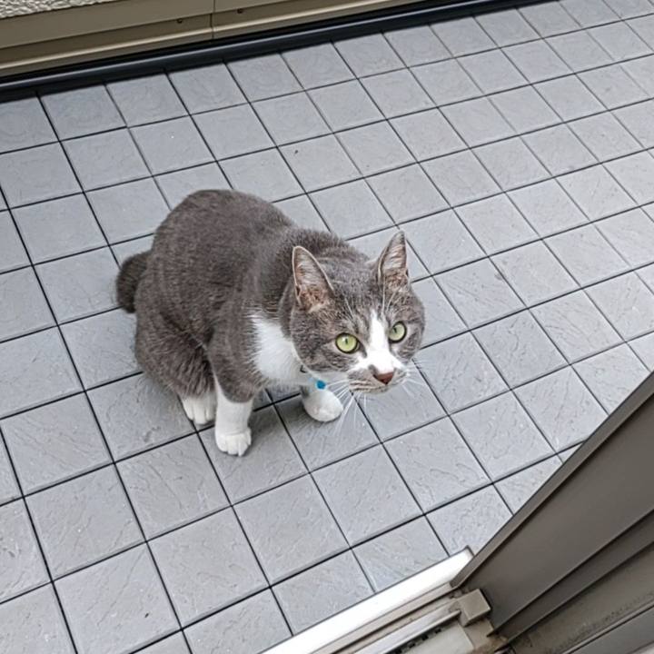 06a1d475 b9d9 4d0b a388 ceb67d491bfa 1719280495224