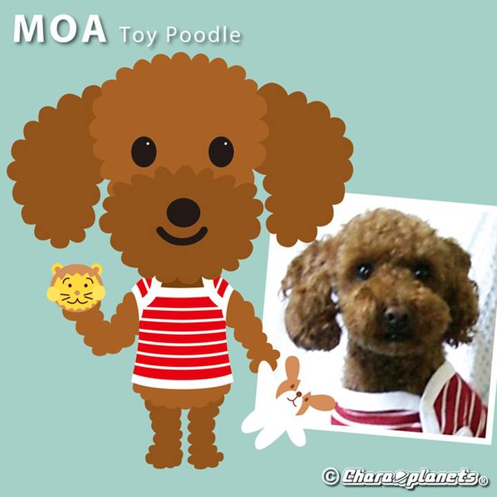 06a1d922 37f5 477e 8afe bcf14feb9aad 1567481054833