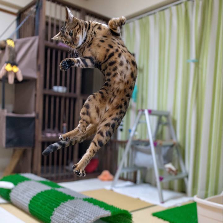 06a1ec64 a45f 49f6 8222 b1a32f9ff320 1517668313736