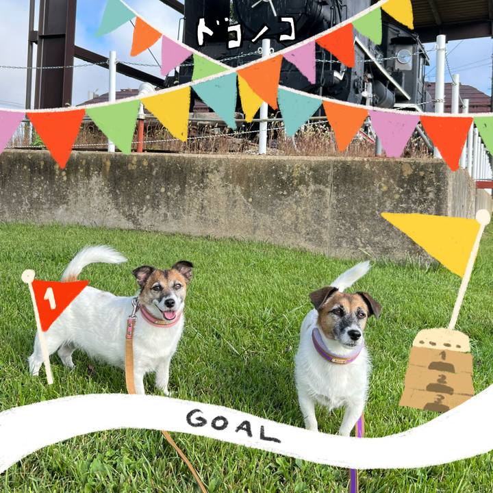 06a1ee36 737b 4073 a815 42d418a6dbd4 1729082712798