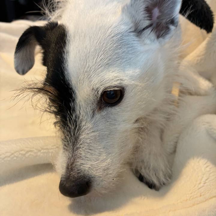 06a1ffd6 f628 4da9 a4bb d1adff9fc03a 1765676037394