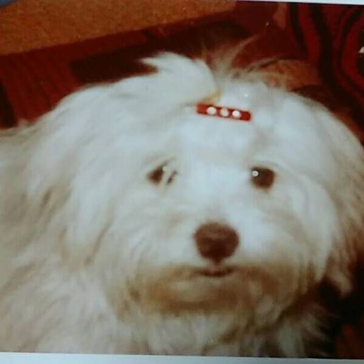 06a2022a b5b6 47a0 a9eb 5eb9889830e9 1543749819174