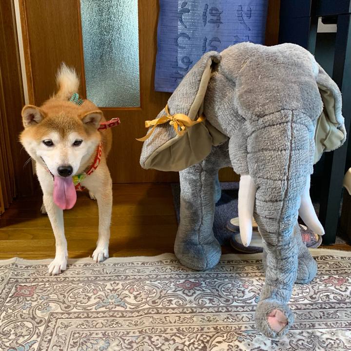 06a232c9 690c 4873 9194 07308f905ce0 1629973076739