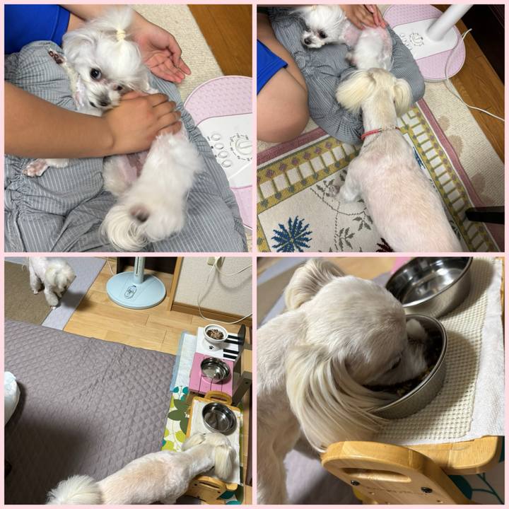 06a2440c d8f0 45ca 900b 2e0593535d4a 1747906369677