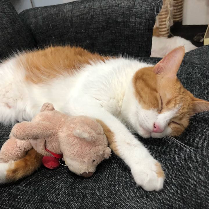 06a257ee ff78 46f4 b6c5 e9a7a7f99d3f 1538047326195