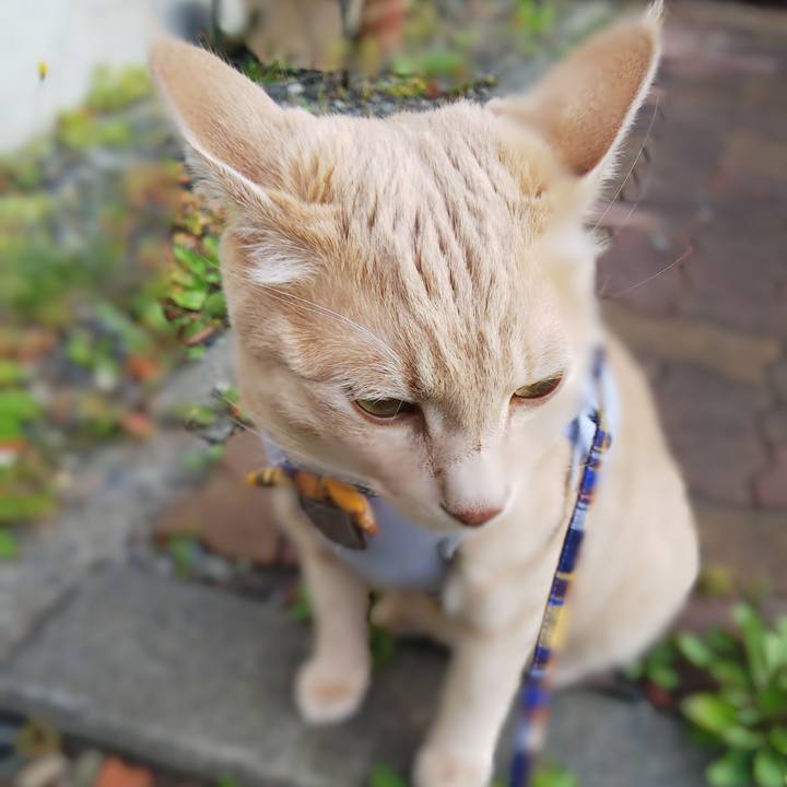 06a26517 fd34 488d a64b c1b45a4e1e27 1570848965697