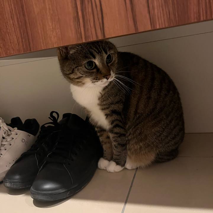 06a2e45a 76b8 4147 8b72 834c1fca47db 1768538239443