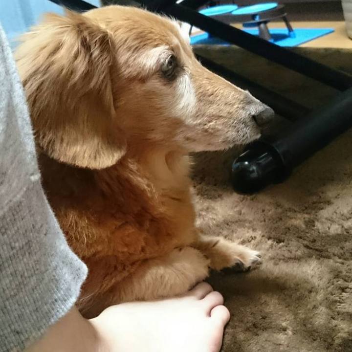 06a3016f 169f 47a4 b379 26e623ed37b7 1644596792697