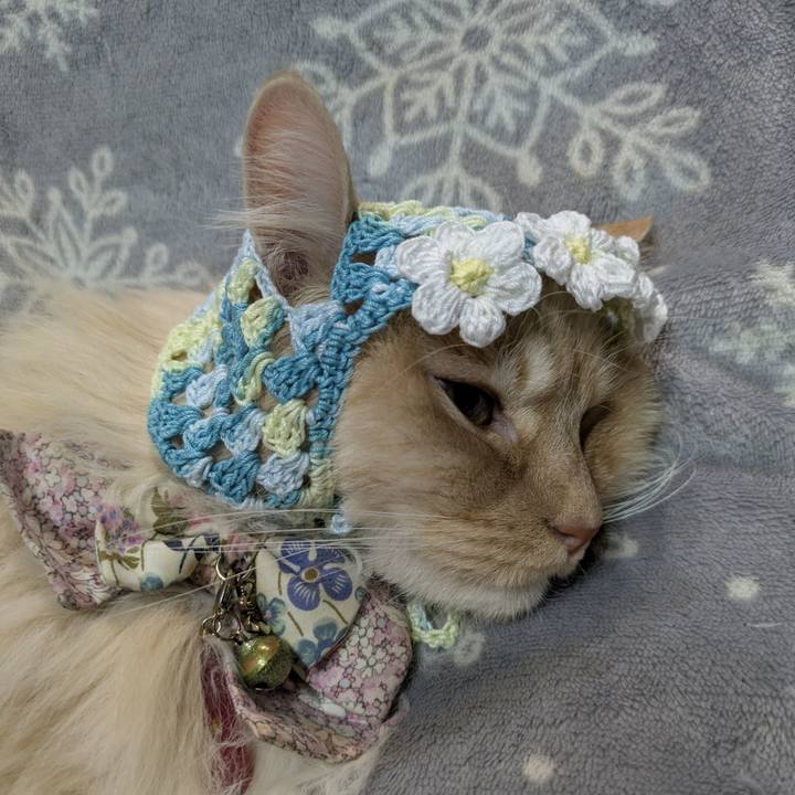 06a33533 bce2 442a 93d8 992ddff37432 1774795788945