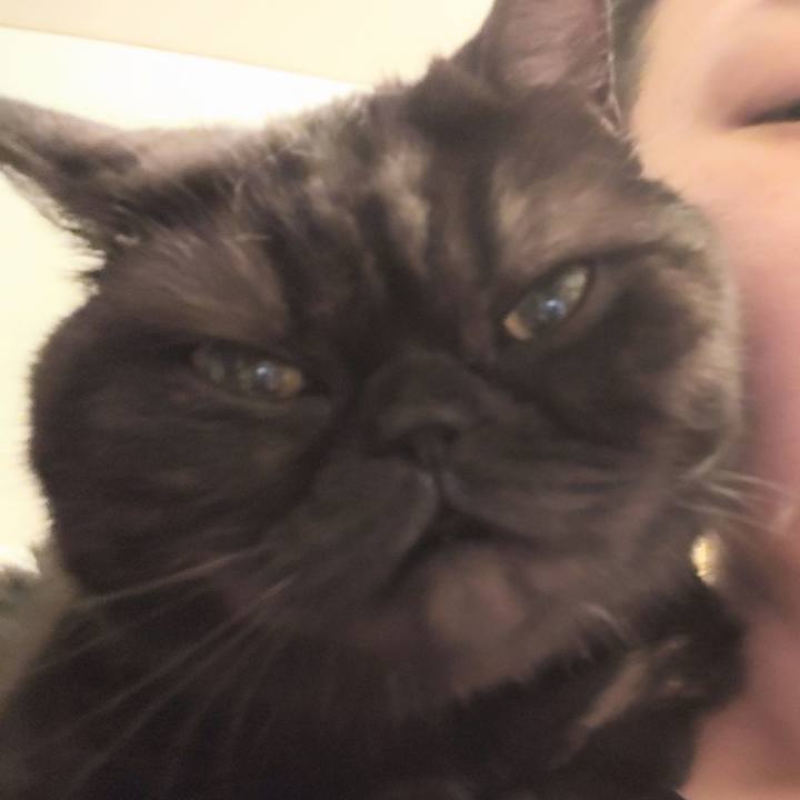 06a353ab 7d34 4830 9989 58f34d9d4838 1603798530398