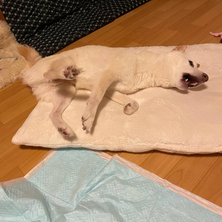 06a3636e e6dc 467a 80d9 93ce1e1ac0f2 1664214230241