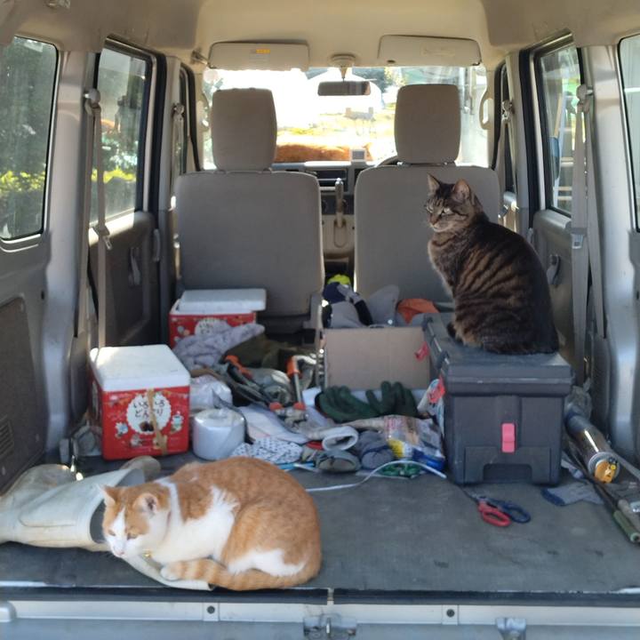 06a3659d 76a5 4980 a87f 6e8fd4767e0e 1745997048632