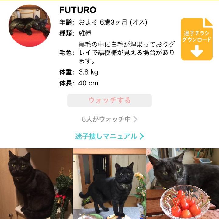 06a399a3 7095 4876 8e27 784ba5082f24 1595590770433