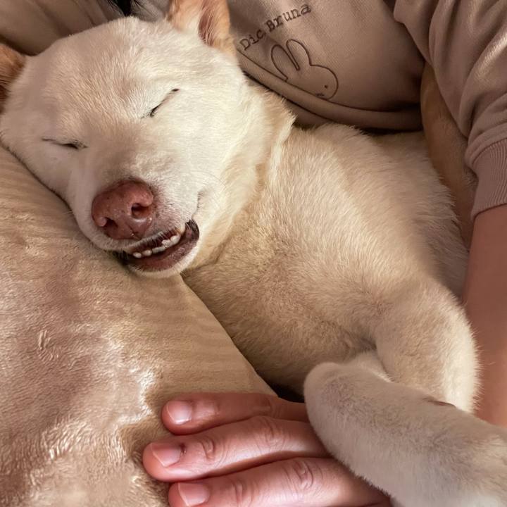 06a3b992 f3ab 4ca2 a962 11e0265c7166 1640651383972