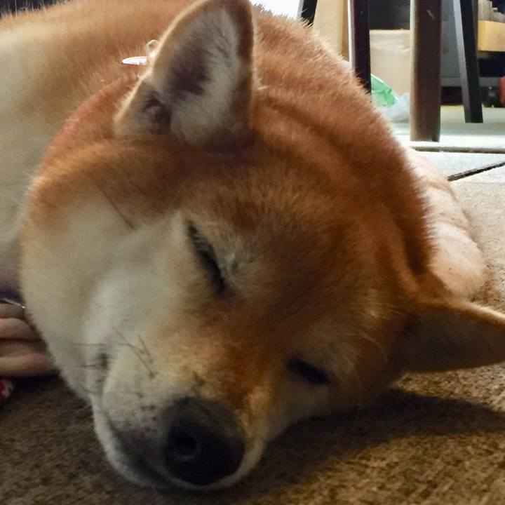 06a42f64 f58a 46d9 bc01 607e8e6b16ec 1539241632623