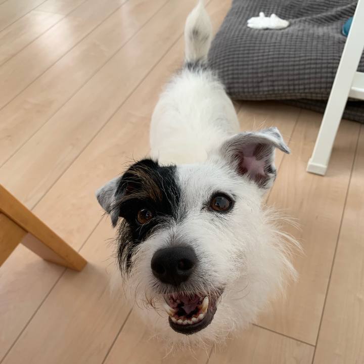 06a451c0 7bab 4a71 887c 9ce08db205d5 1569372910278