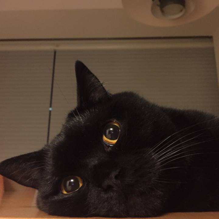 06a45fe4 b9b2 45da a4c3 079705ed26d8 1530201482811