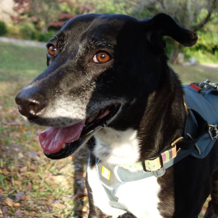 06a4bef3 1f98 4c86 8d20 2a05e445bbde 1730418859805