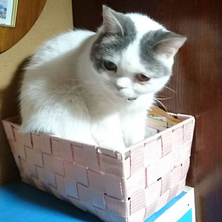 06a4c244 f732 4c26 b7df ce4882d272ea 1553762333479