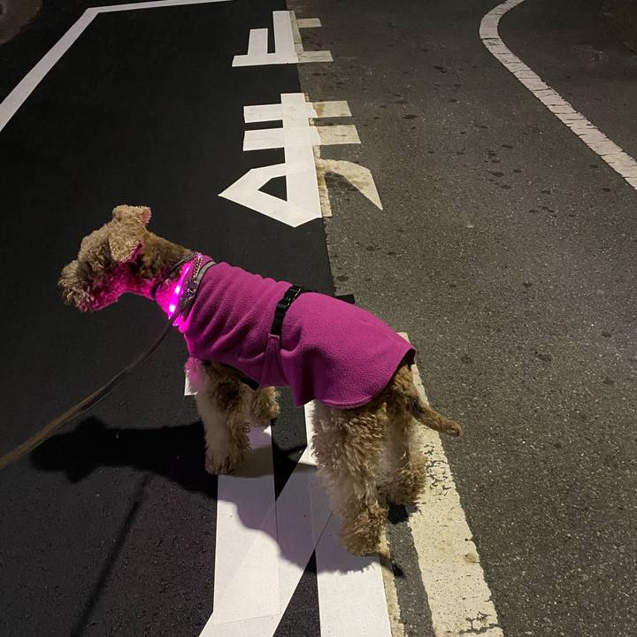 06a4c39f ec8e 4dfa adcd c3ee9fbbb0a8 1608288626990