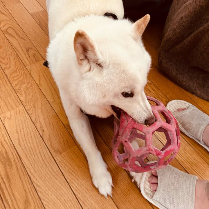 06a4ca26 ba5a 48b6 91a3 43346fb32b83 1695426756043