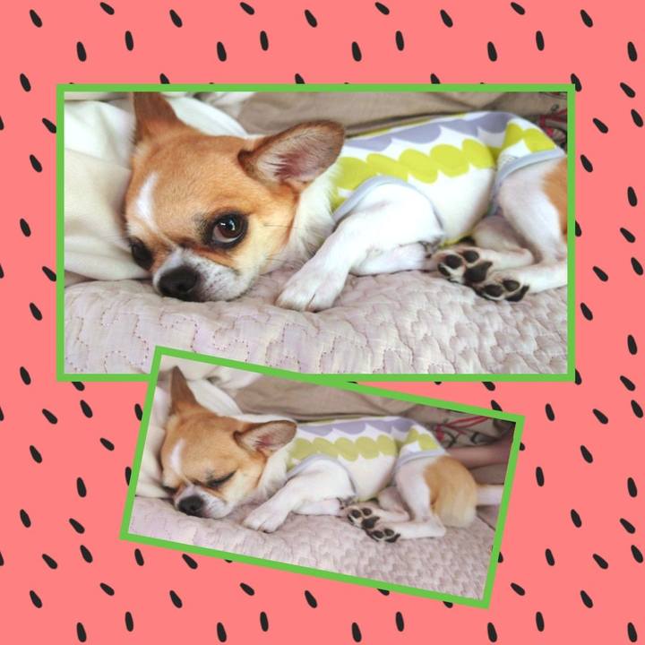 06a50315 d849 485e 9ac2 c0b04491ac3b 1628394623490