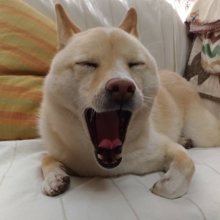 06a5152f 61db 4bee 8ca7 1798739e1764 1559348338762