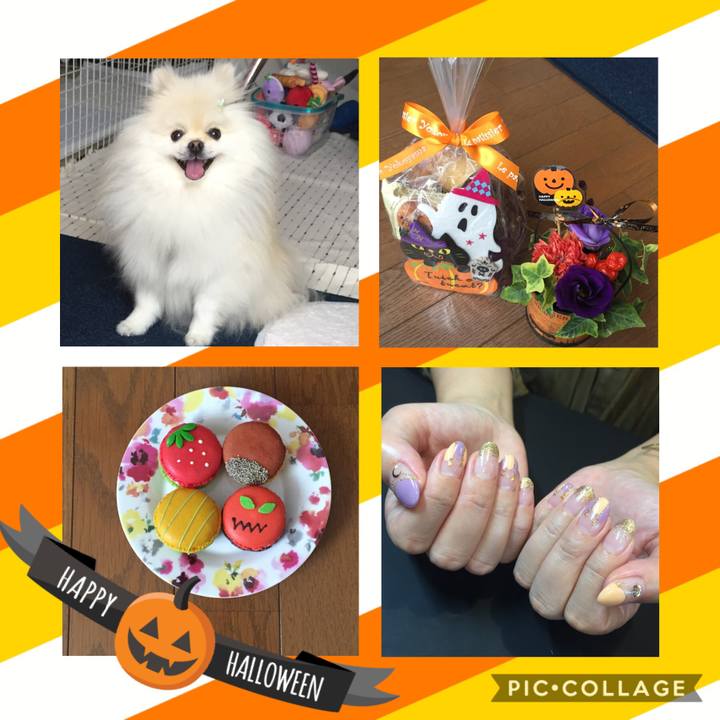 06a51cb5 a546 4e4b ba3e ec94f4327a5a 1602998009670