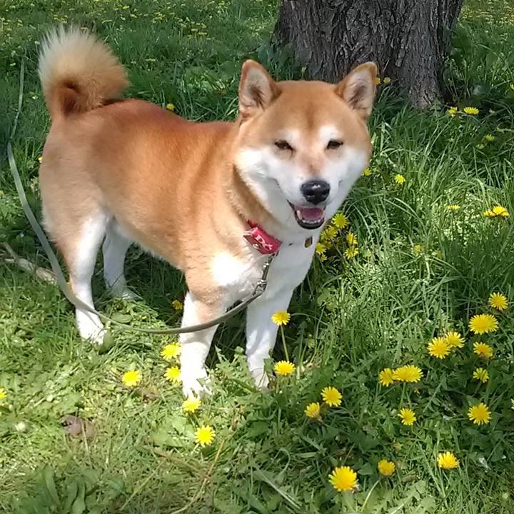 06a566ac e61b 4ab1 af7c 193431bb25b0 1618618737740