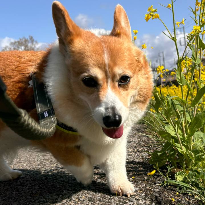 06a5869d e8d9 46cc a693 c3f41313ee43 1774573089449