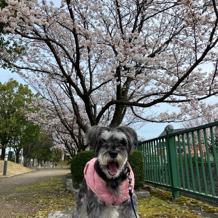 06a5a666 f76b 4b3e b273 e37d2b872ced 1713011704536