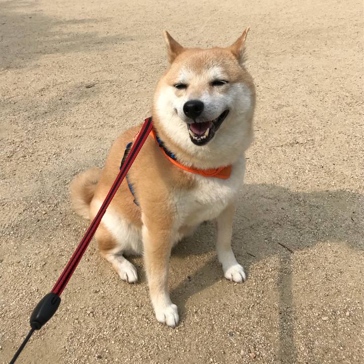 06a5b91c d9d2 4817 8b6d c1f7339a7b9e 1526567551215