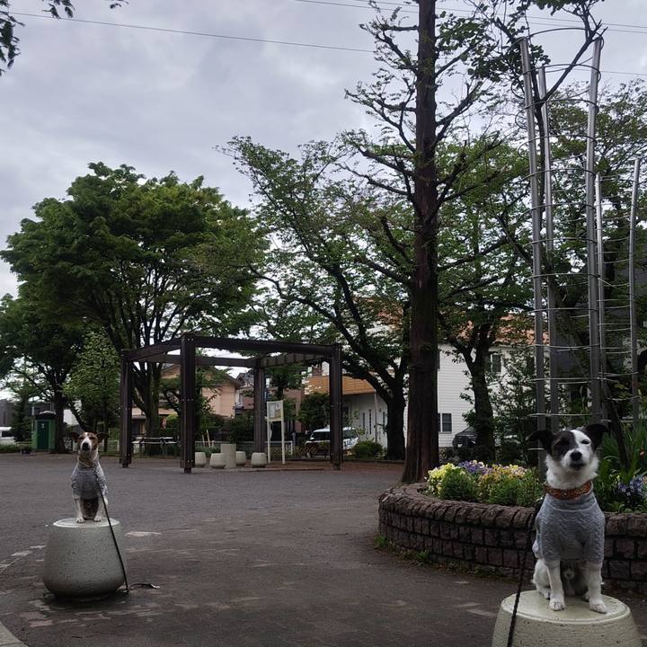 06a5d86a f8c7 4bea 8711 947a77013c40 1776292477513