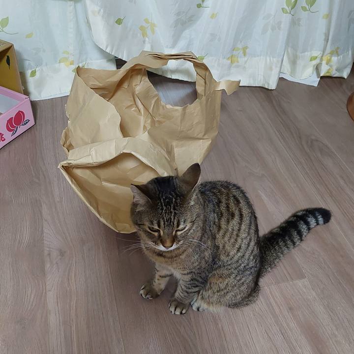 06a5fda1 643b 480c 8239 42bcaf2099e7 1710228043920